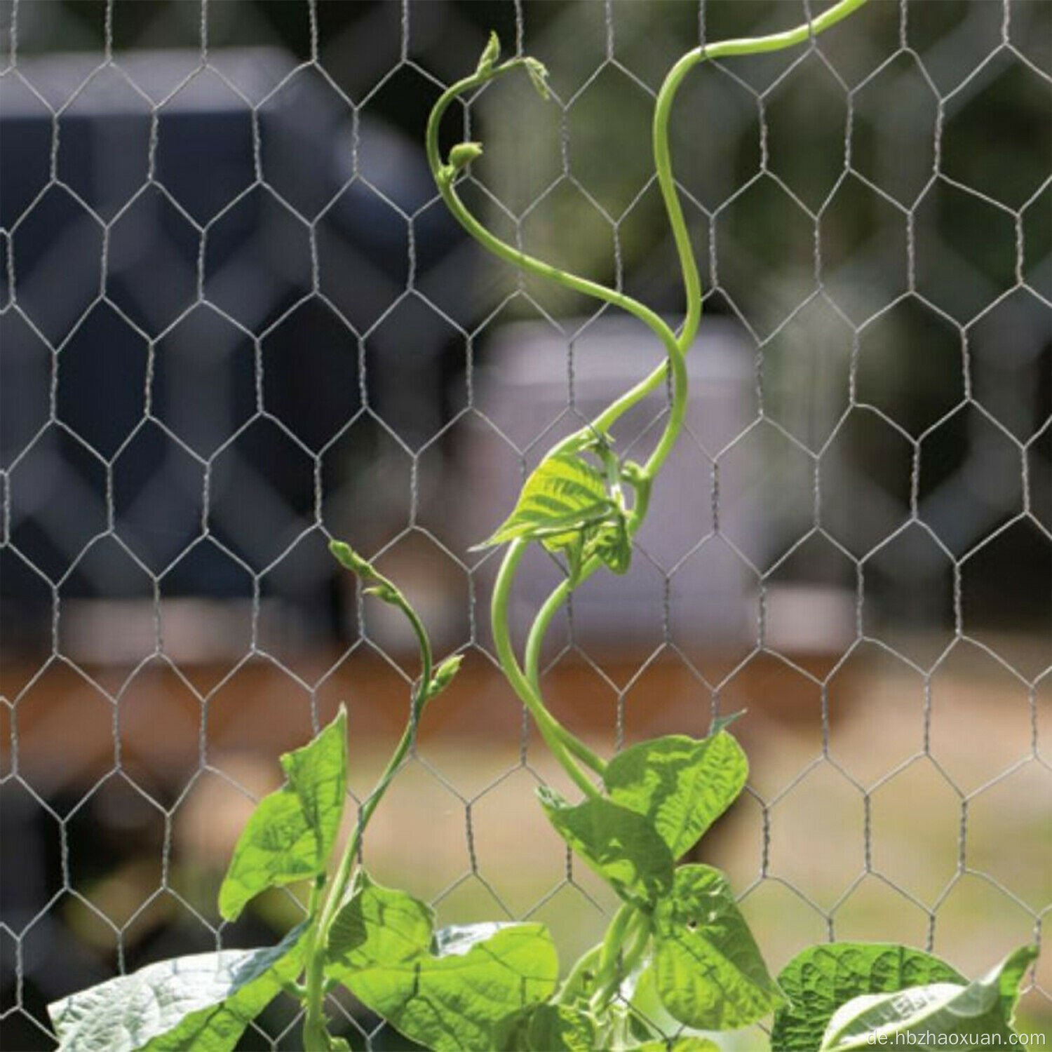 Auto Motorteile Motorhalterungen für Honda Civic