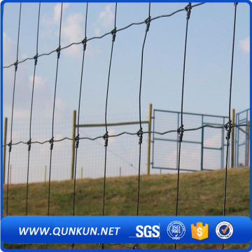cattle fence/used livestock panels