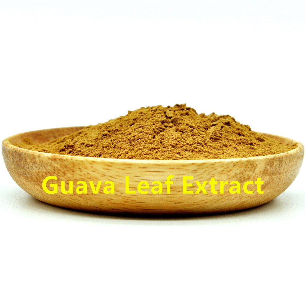 Guava Leaf Extract powder 10:1 organic