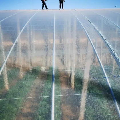 Single-Span Plastic Greenhoue Film Agricultural Plastic Film