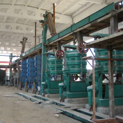 Tea Seeds Oil Press Machine