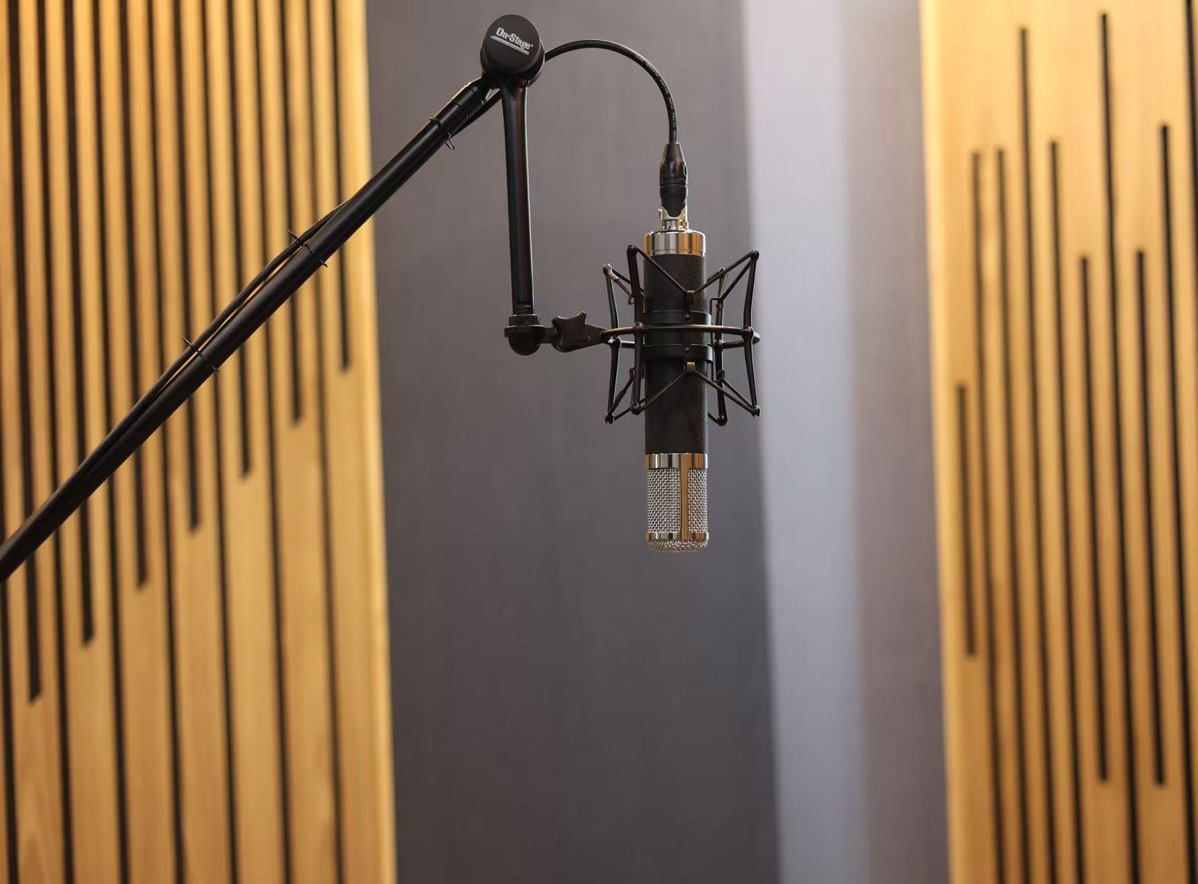 MIC-047 Large Diaphragm Microphones MIC-047 Large Diaphragm Microphones