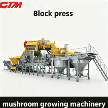 Macchinari per compostaggio e presse per blocchi di alta qualità