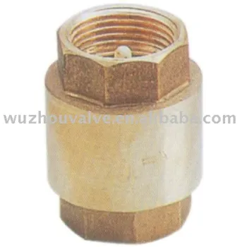 check valve