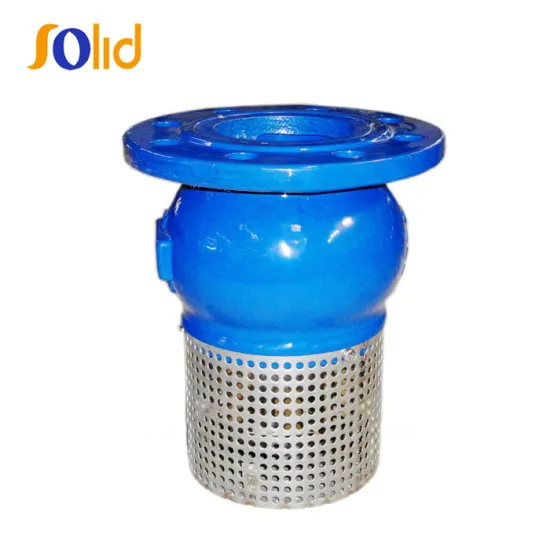 Ductile iron foot valve with stainless steel strainer, DN300, PN16