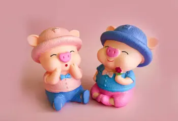 Wholesale Cute Design Pig Piggy Bank