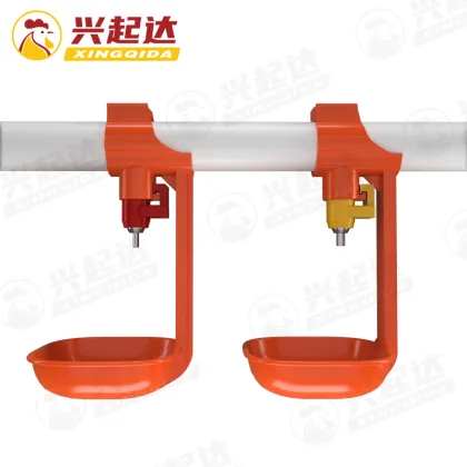 Chicken Drinkers, Feeders, and Poultry Equipment for Quail Farms