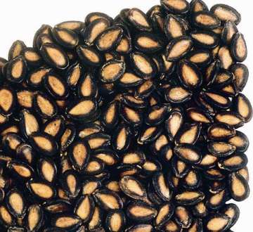 Large-Sized Raw Black Melon Seed