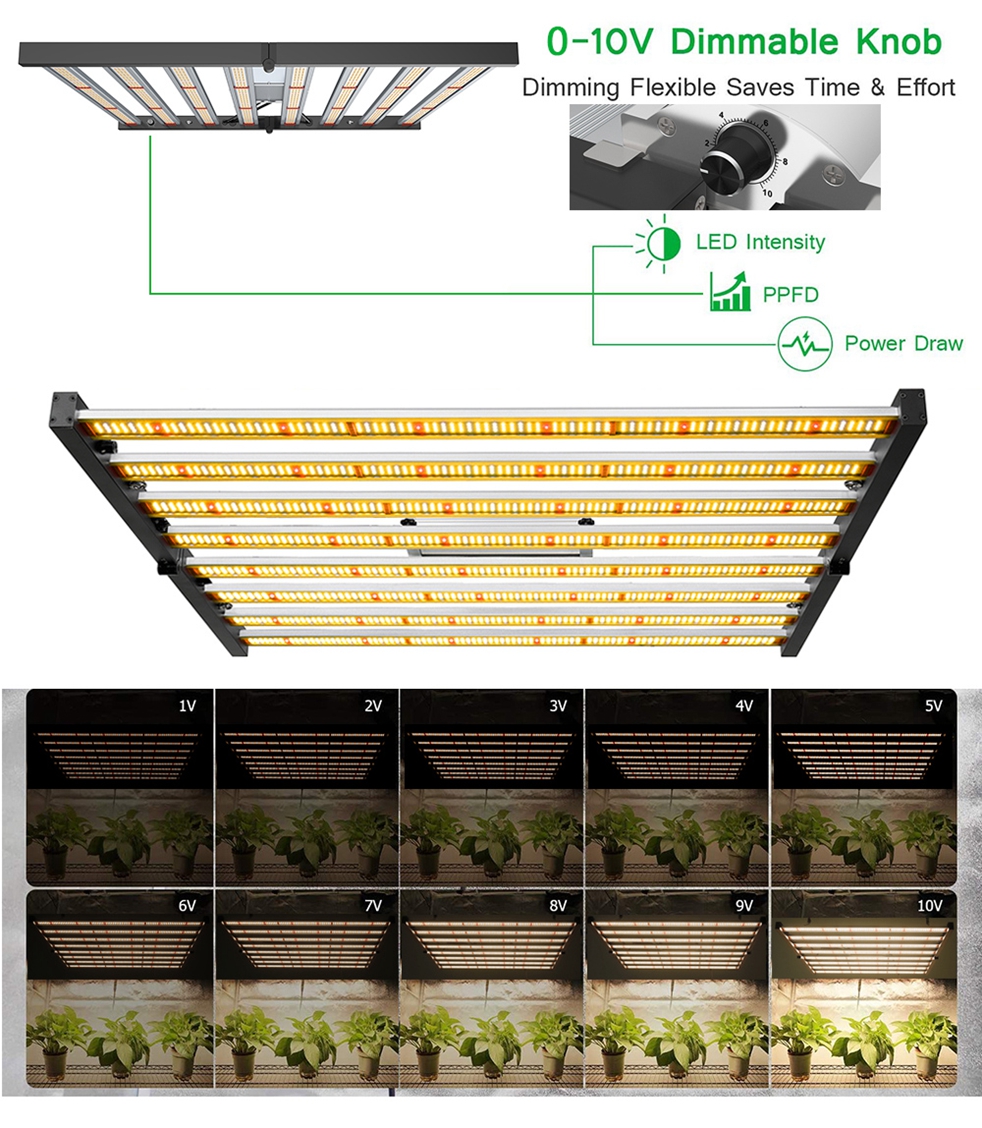 4 Best Led Grow Light