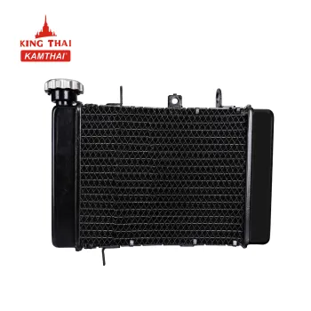 Black RS 150 Condenser Motorcycle Engine Cooling Cooler Radiator Assembly China