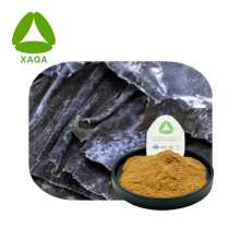 Thallus Laminariae Extract Kelp Laminarin Powder 10:1