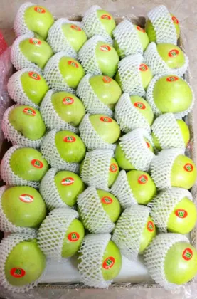 Good Looking Green Apple