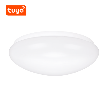 IP44 Dampproof LED Ceiling Light for Bedroom and Living Room