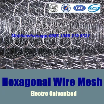 electrical galvanized hexagonal wire mesh,light zinc coating galvanized hexagonal wire mesh,electro hexagonal wire mesh