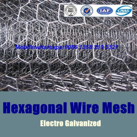 electrical galvanized hexagonal wire mesh,light zinc coating galvanized hexagonal wire mesh,electro hexagonal wire mesh