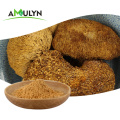 Hericium Erinaceus Extract Lion&#39;s Mane Mushrooms