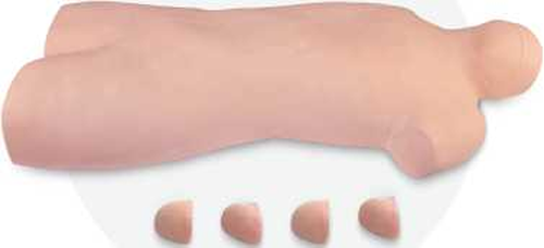 Bone Marrow Aspiration Model
