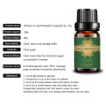 Wholesale Organic Piperita Peppermint Oil for Skin Care