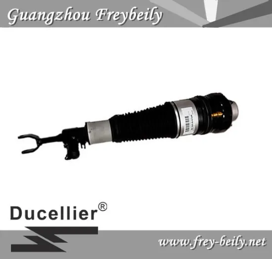 4F0 616 039AA/ 4F0 616 040AA Left Front/ Right Front Air Suspension Shock for Audi A6(4F2,C6)