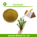 Haustiernahrung Additive Salviol / Carnosol 20% Pulver