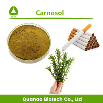 Pet Food Additive Salviol / Carnosol 20% Powder