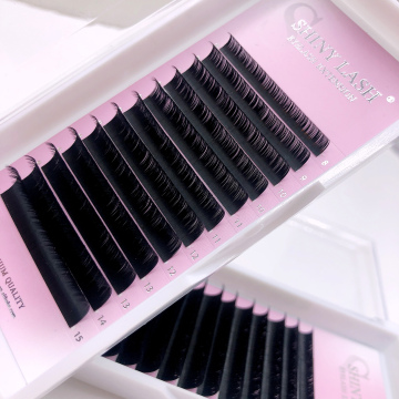 12 Lines Soft Mink 0.05 Fast Fanning Eyelash Extensions Trays C/D Faux Mink Lashes Matte Black
