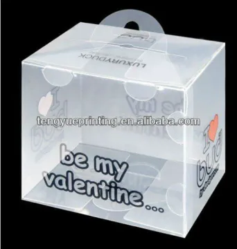 hanger clear PET plastic packaging box