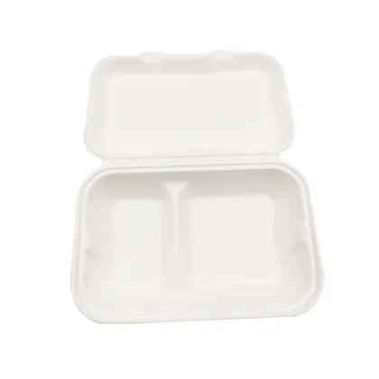 Biodegradable Pulp Disposable 9x6'' 2 cpt Food Container