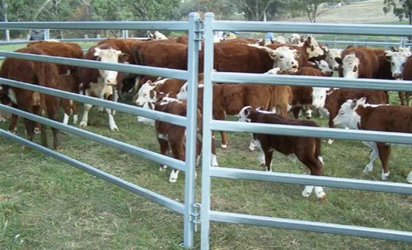 Pannello di recinzione del bestiame, pannello di bestiame di pecora