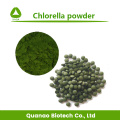 Polvo de proteína de Chlorella 90% Nutrición deportiva