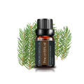 Pine Essential Oil Factory Hot Sale 100% Pure Health Care