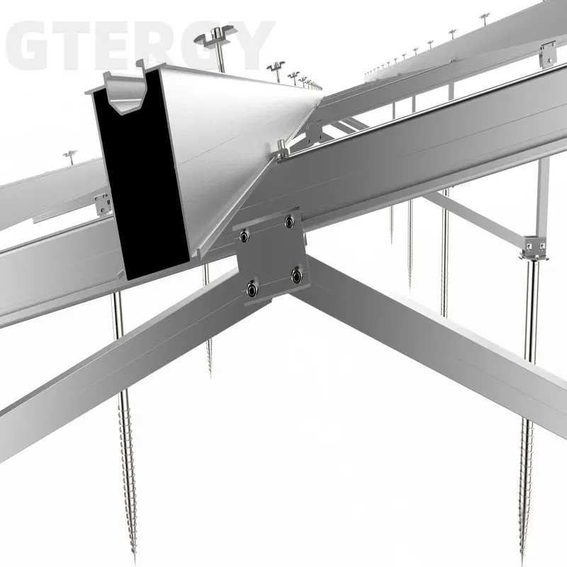 Customized Solar PV Ground Racking System with Ground Screw Mounting