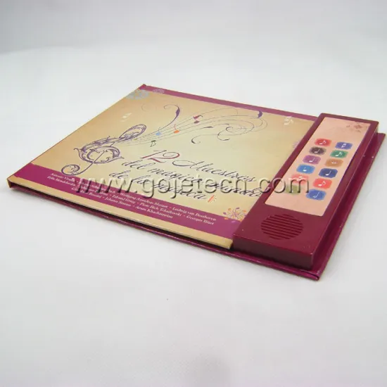 sound recordable book
