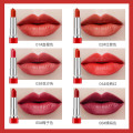 cosmétiques maquillage multicolore mat rouge à lèvres imperméable