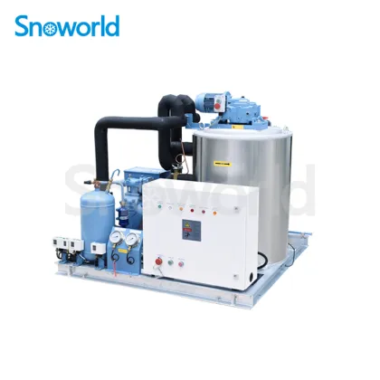 Snow world Flake Ice Machine in Malaysia