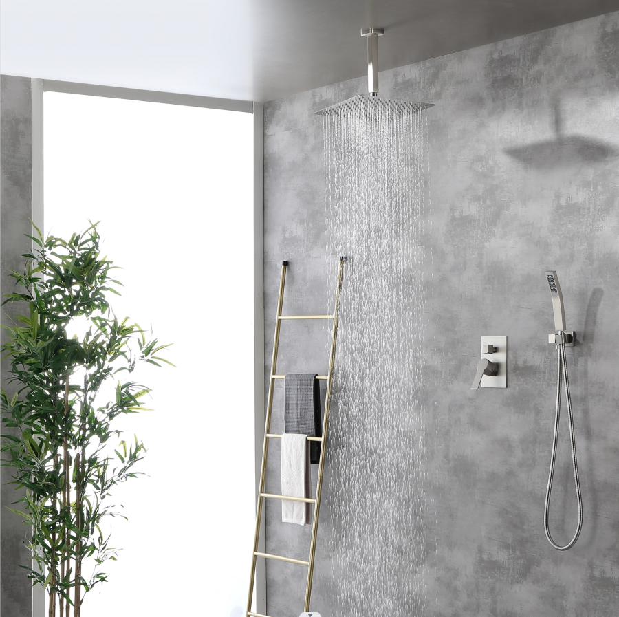 Ceiling Mounted Shower Set 2