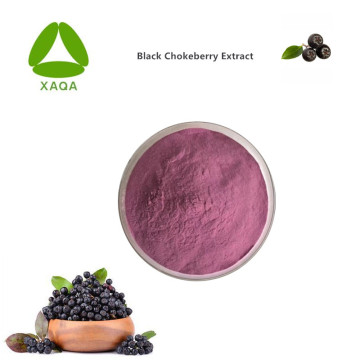 ผงออร์แกนิกสีดำ chokeberry สีดำแห้ง 99%