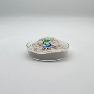 Polyanionisches Cellulose -PAC -HV -LV -Pulver für Ölfeld