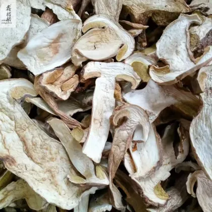 Wild Porcini Mushrooms for Sale: High Quality Dried Beef Liver Mushrooms