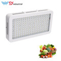 Full spectrum LM301B 600w 800w Led Grow Light