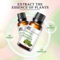 pure camphor essential oil