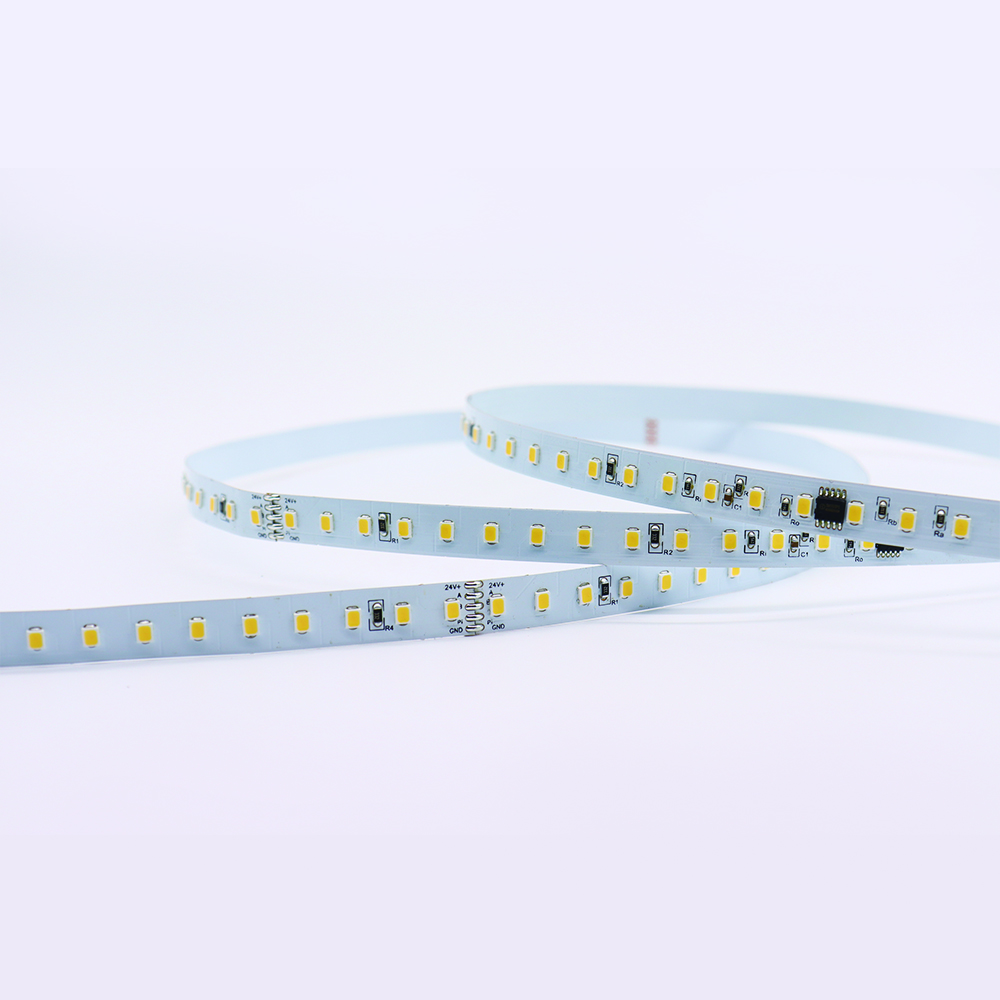 10 مم معالجة DMX 512 Blanca 2835 LED Pixel Strip Light DC 24V Light