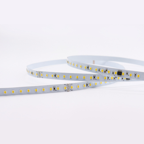 10mm Addressable DMX 512 blanca 2835 LED Pixel Strip Light DC 24V tape light