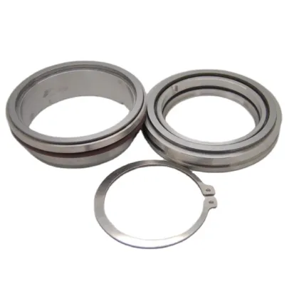 Flygt Water Pump Mechanical Seal Replacement Guide