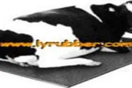 Rubber Mat/Sheet for Livestock