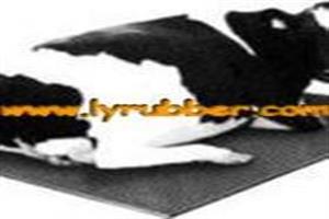 Rubber Mat/Sheet for Livestock