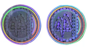 tamper evident security hologram label