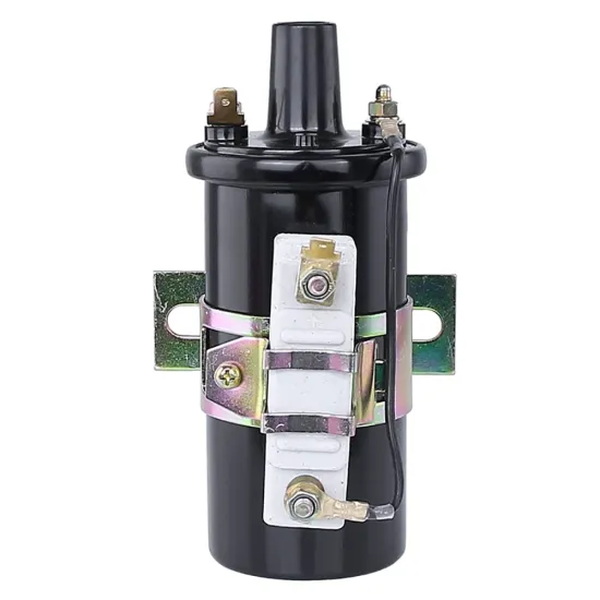 12V Remote Mount Oil Filled Ignition Coil C6R-800 for Nissan Ford Toyota Fiat