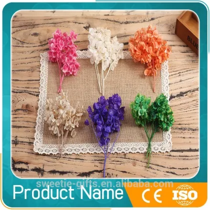 preserved butterfly flower