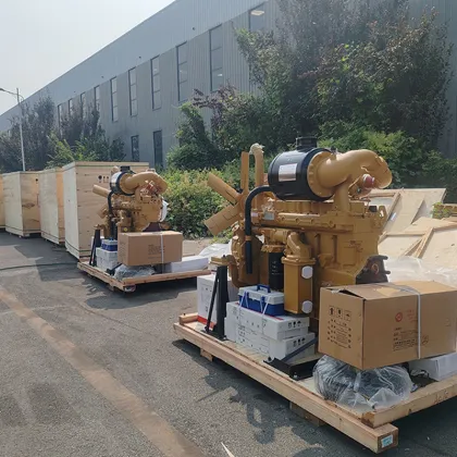 Caterpillar C9 Engine Assembly for Excavators